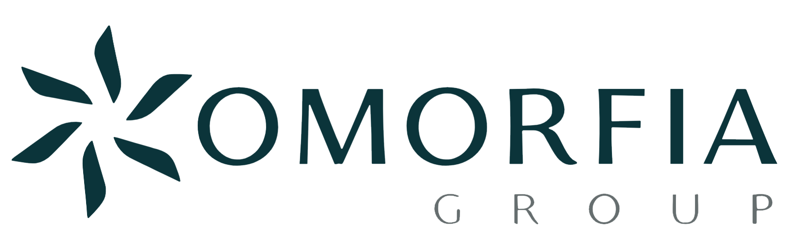 partner